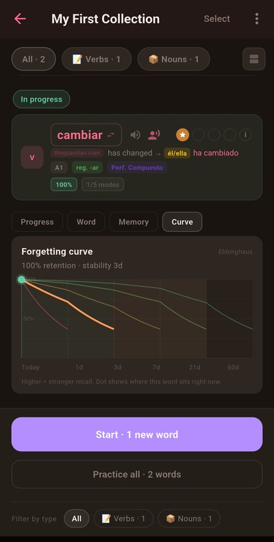 Flamigo forgetting curve and memory tracking