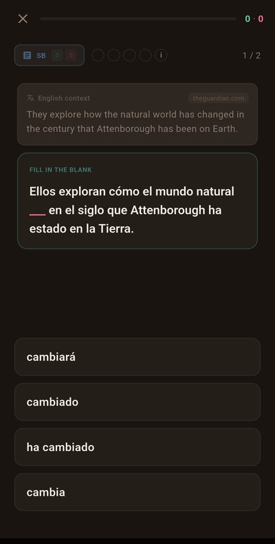 Flamigo conjugation practice