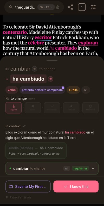 Flamigo word card showing Spanish vocabulary in context